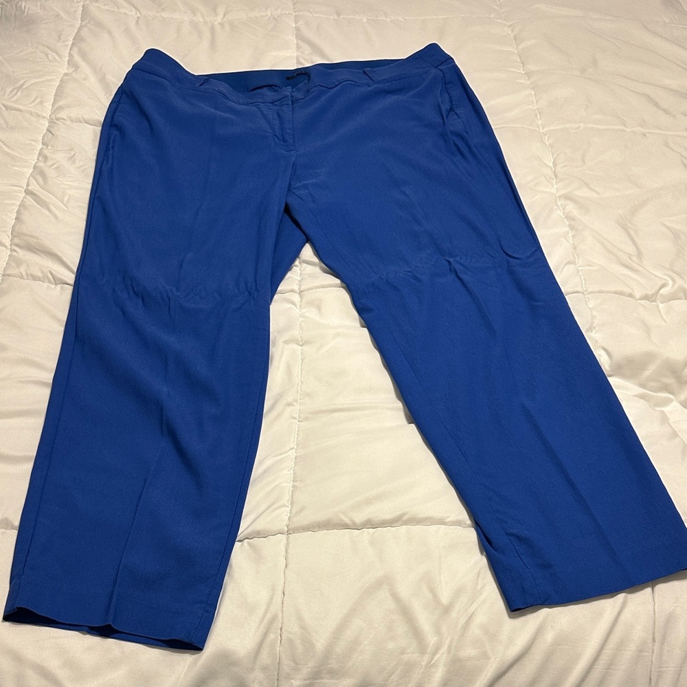 Lane Bryant Blue Skinny Pants